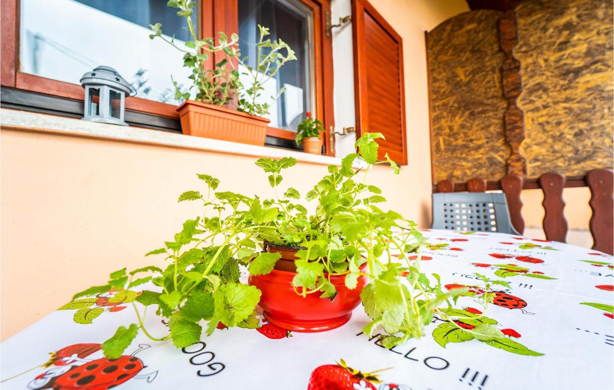 Amazing Apartment In Krnica With Kitchen Εξωτερικό φωτογραφία